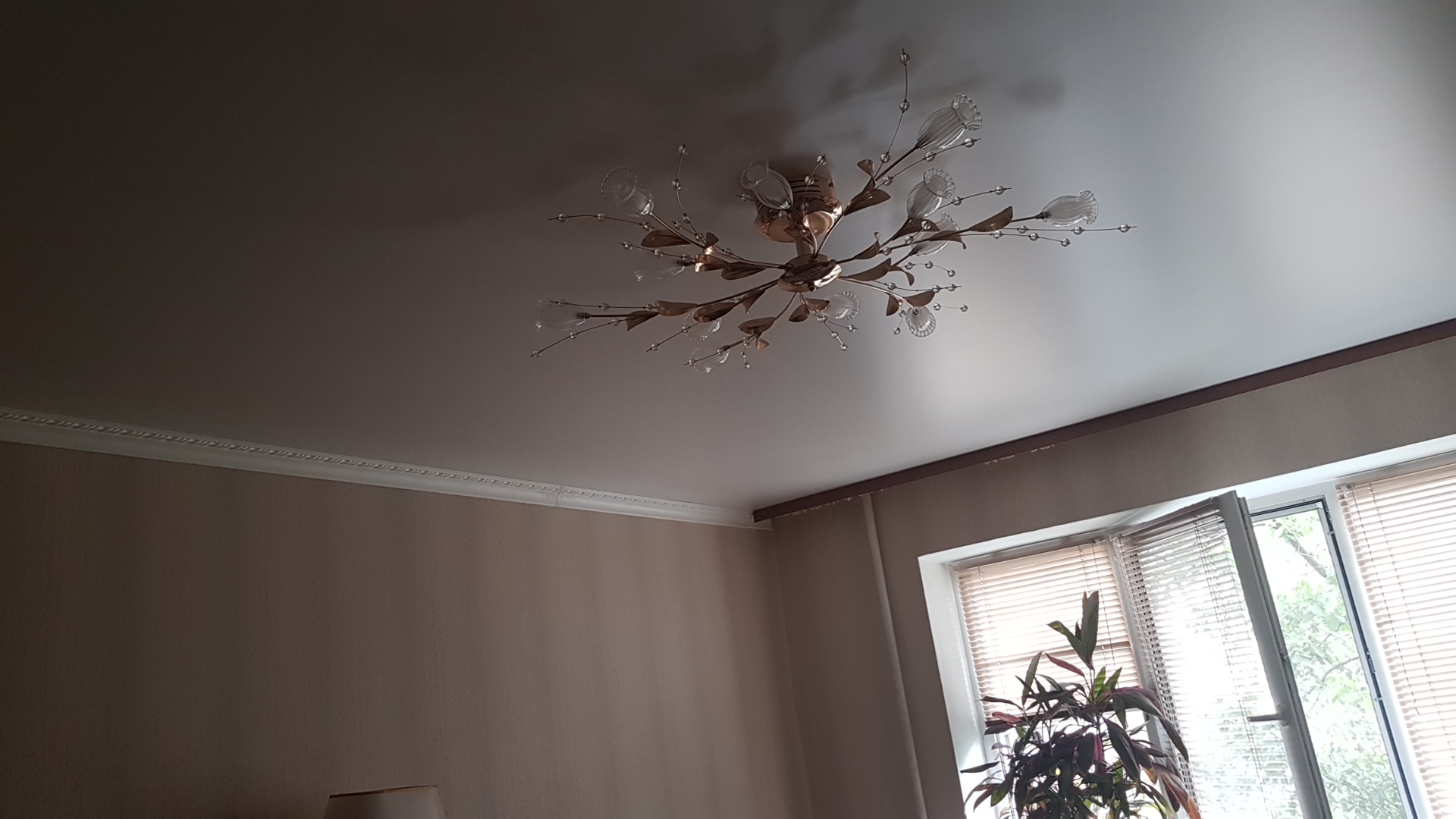 Изображение для заголовка